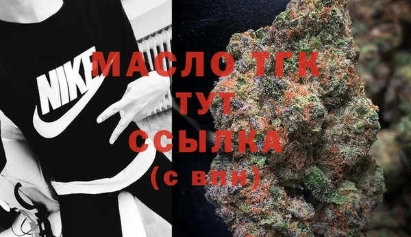 дмт Аркадак