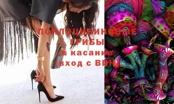 ПСИЛОЦИБИНОВЫЕ ГРИБЫ Балабаново
